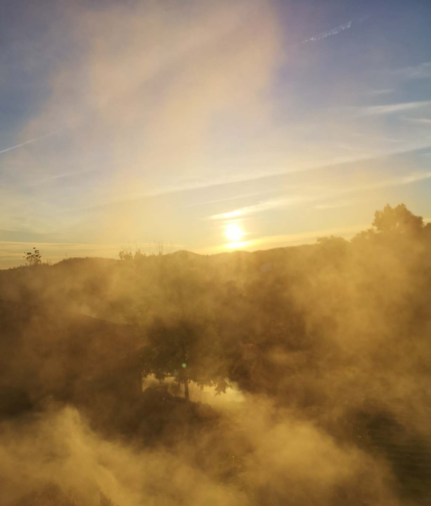 Quantenintelligenz-coaching-05